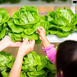 Mother and daughter shopping for vegetables together